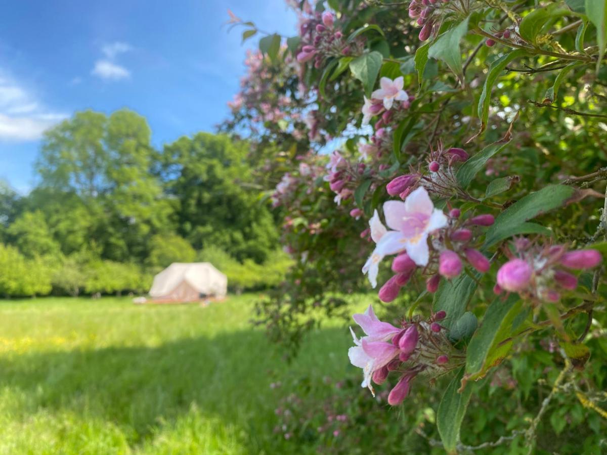 Green Glamping Sonderborg Exterior photo